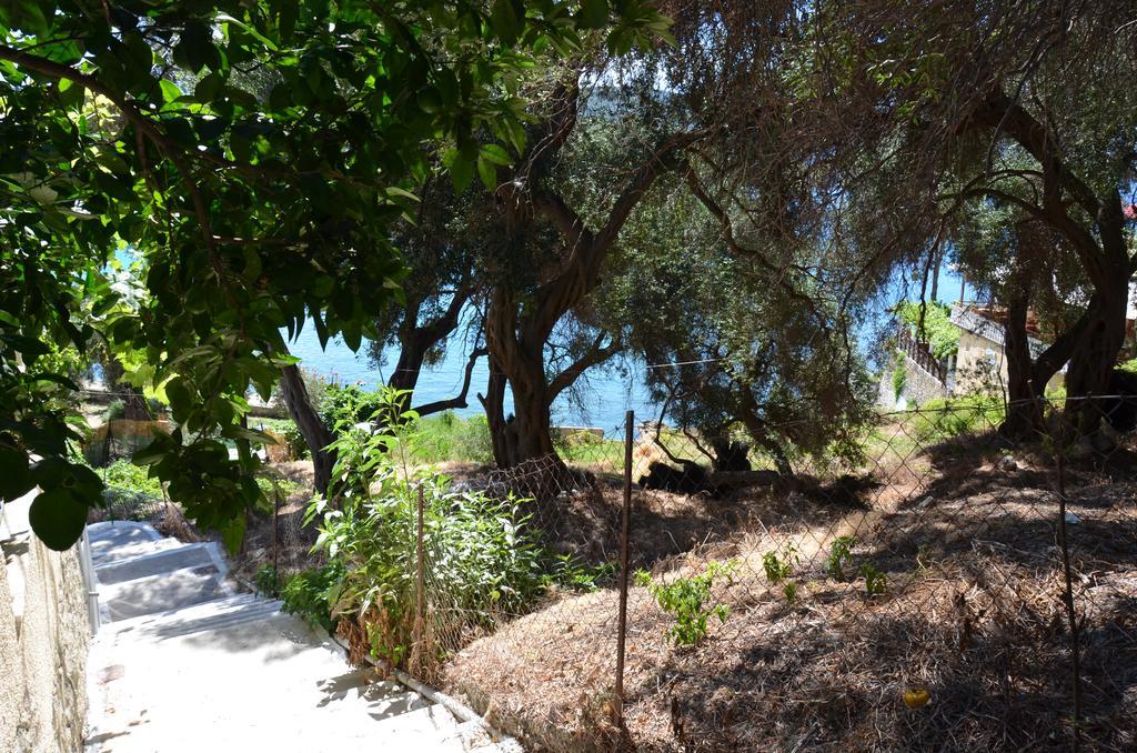 Vakantiehuis Odysseus